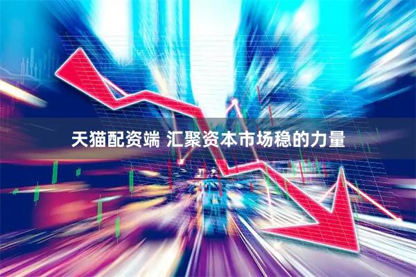 天猫配资端 汇聚资本市场稳的力量