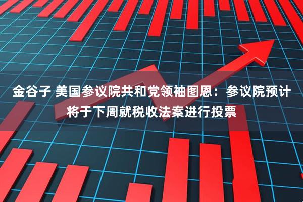 金谷子 美国参议院共和党领袖图恩：参议院预计将于下周就税收法案进行投票
