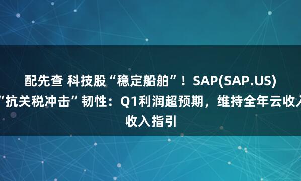 配先查 科技股“稳定船舶”！SAP(SAP.US)彰显“抗关税冲击”韧性：Q1利润超预期，维持全年云收入指引