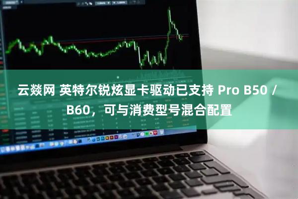 云燚网 英特尔锐炫显卡驱动已支持 Pro B50 / B60，可与消费型号混合配置