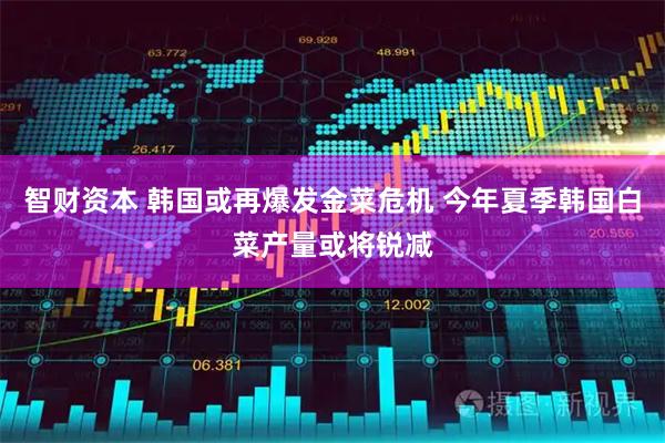 智财资本 韩国或再爆发金菜危机 今年夏季韩国白菜产量或将锐减