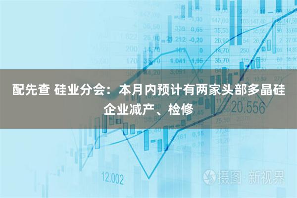 配先查 硅业分会:本月内预计有两家头部多晶硅企业减产、检修