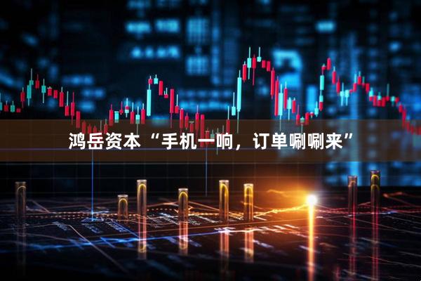 鸿岳资本 “手机一响，订单唰唰来”