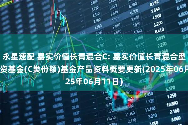 永星速配 嘉实价值长青混合C: 嘉实价值长青混合型证券投资基金(C类份额)基金产品资料概要更新(2025年06月11日)