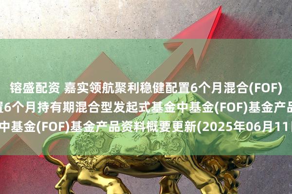 镕盛配资 嘉实领航聚利稳健配置6个月混合(FOF): 嘉实领航聚利稳健配置6个月持有期混合型发起式基金中基金(FOF)基金产品资料概要更新(2025年06月11日)