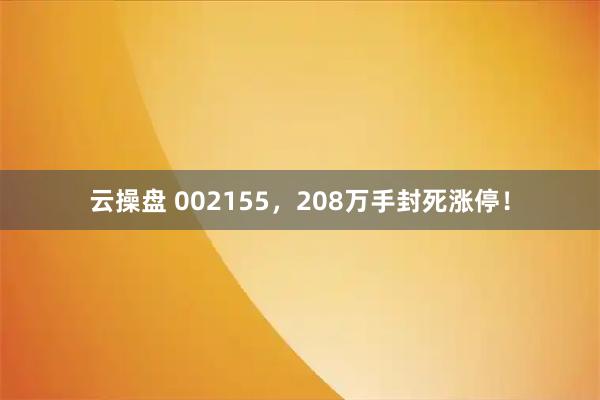 云操盘 002155，208万手封死涨停！